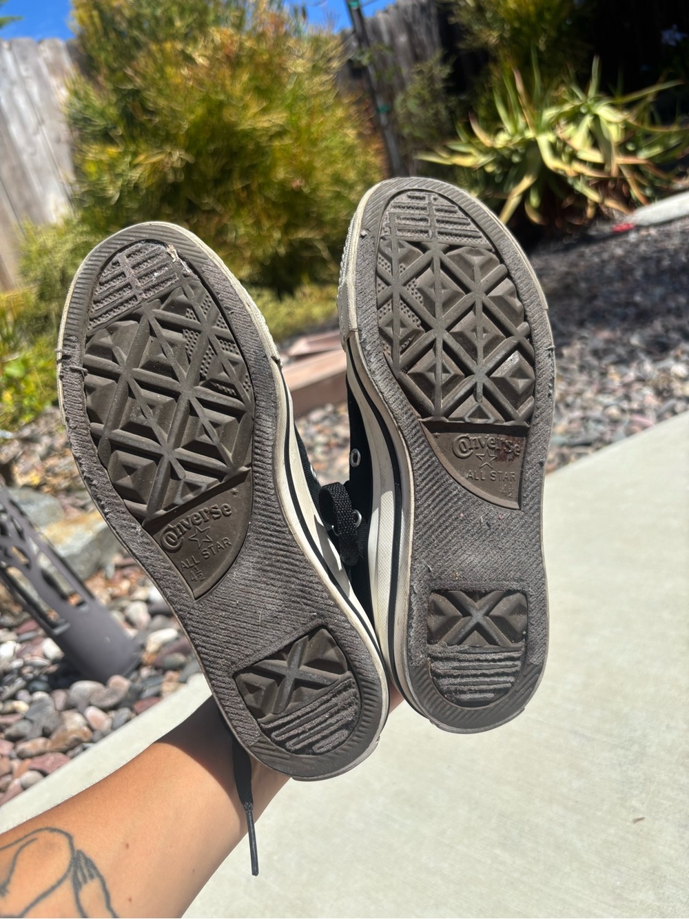 Converse - Picture 6 of 6